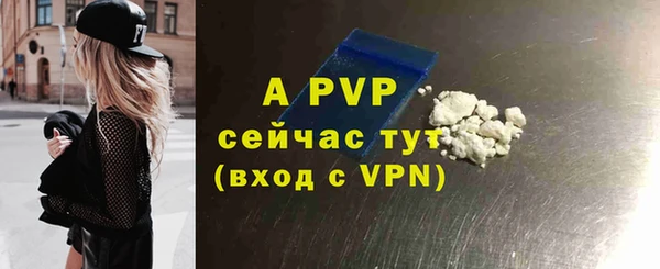 тгк Гусев