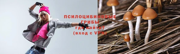 тгк Гусев