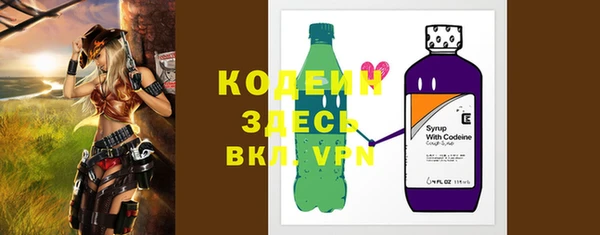 тгк Гусев