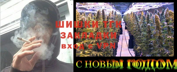 тгк Гусев