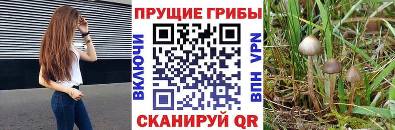 hydra tor  Зверево  Псилоцибиновые грибы мухоморы  купить  цена 