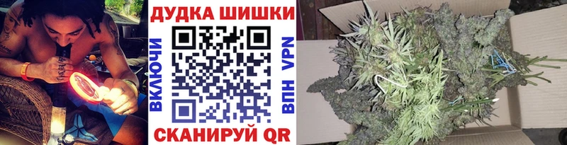 даркнет сайт  Зверево  Каннабис индика 